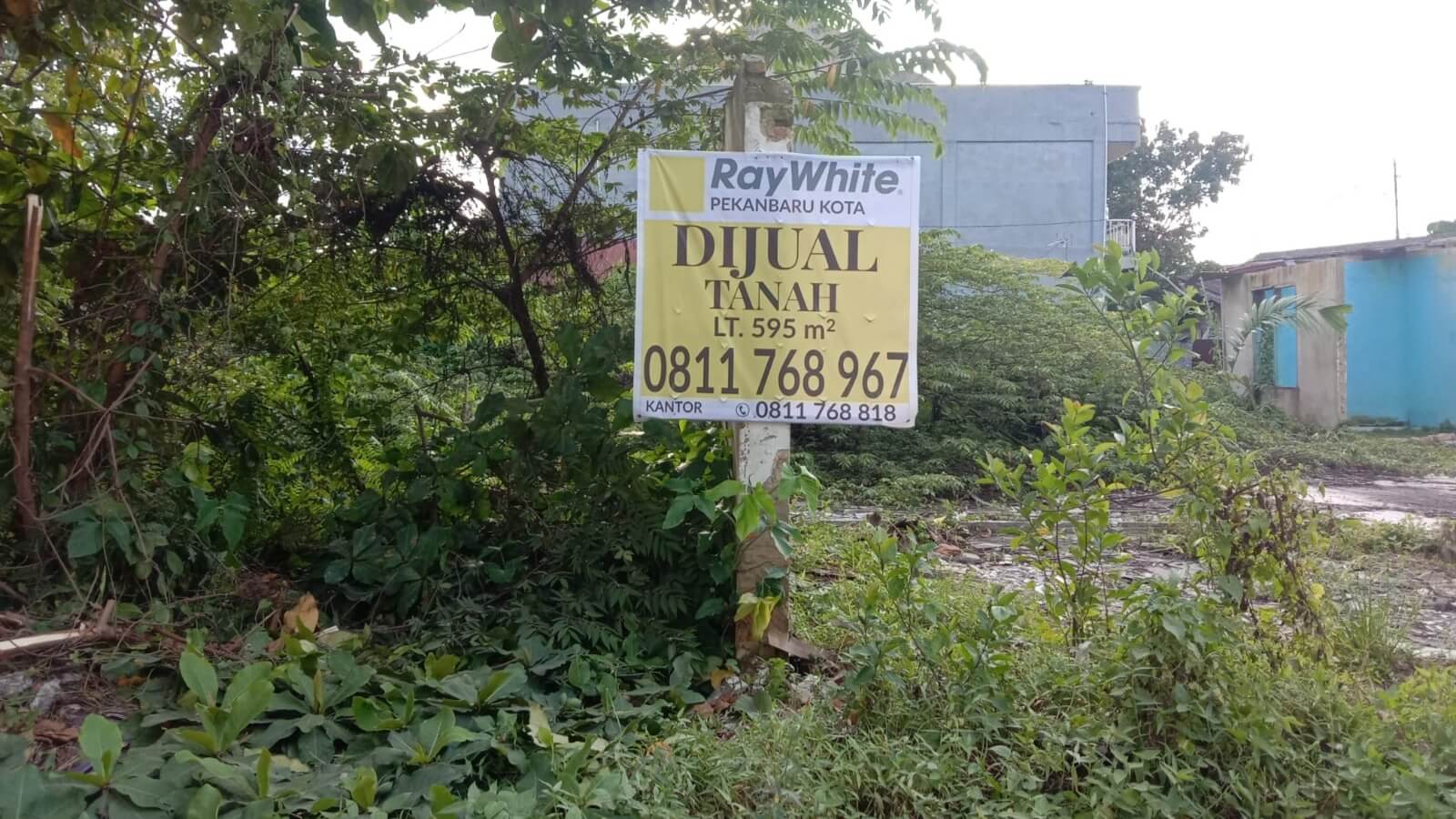 tanah-1-kavling-di-jalan-sultan-syarif-kasim-ray-white-pekanbaru-kota