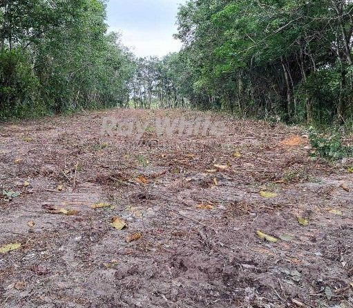 Dijual Tanah Lokasi Strategis Dekat Dari Jalan Siak 2