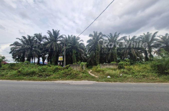 Dijual Tanah Keras Dan Datar Di Daerah Lintas Timur