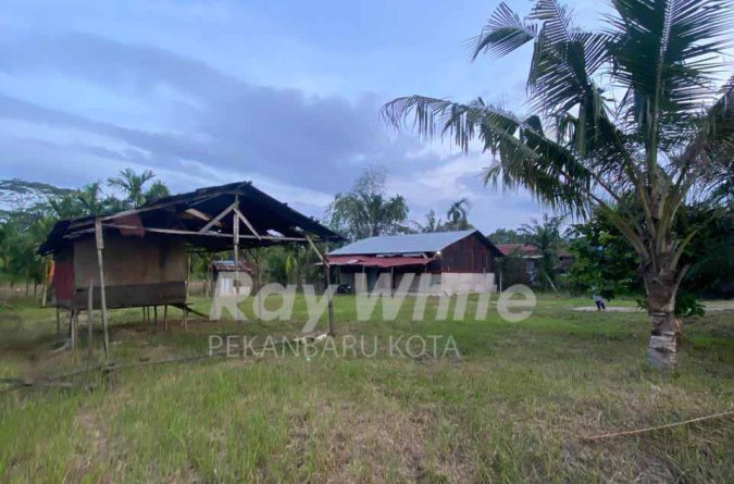 TANAH DIJUAL CEPAT – LOKASI STRATEGIS TEPI SUNGAI SIAK
