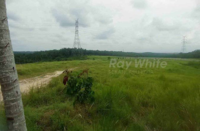 Tanah Strategis 2,5 Ha di Yos Sudarso KM 19 — Dekat Pintu masuk Jl Tol Pekanbaru- Dumai,Cocok Bangun Gudang, Workshop & Kantor, serta perumahan——————————————-